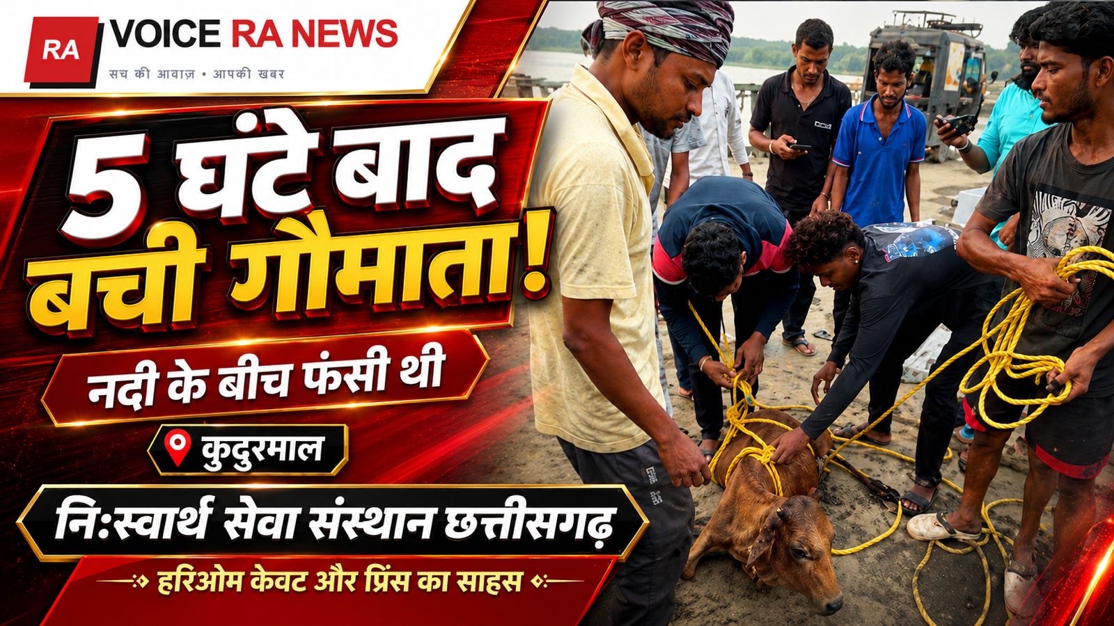 कुदुरमाल में पांच घंटे चला रेस्क्यू, नदी में फंसी गौमाता को गौसेवकों ने सुरक्षित निकाला